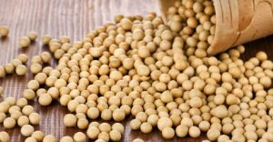 Soy foods to increase breast size