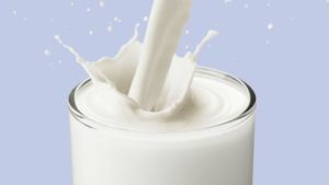 dairy foods for breast growth