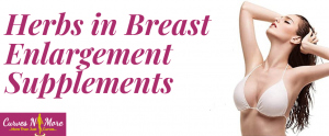 breast enhancement herbal supplements